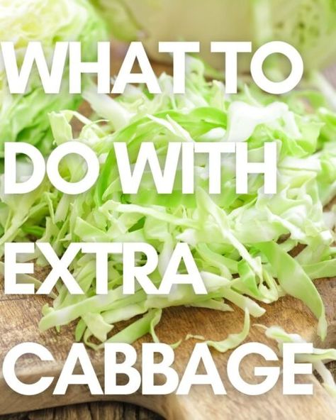 What To Make With A Head Of Cabbage, What Can You Make With Cabbage, Ideas For Cabbage Recipes For, Cabbage Freezer Recipes, Half Cabbage Recipe, What To Do With Extra Cabbage, What To Do With A Head Of Cabbage, Cabbage Recipe Freezer, Cabbage Ideas Healthy