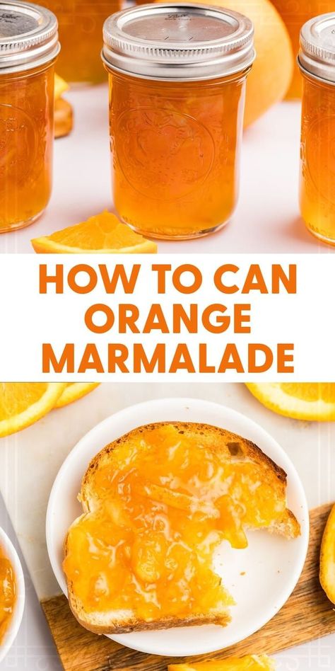 Make and can your own orange marmalade with this easy recipe. Enjoy the sweet and tangy flavors of homemade marmalade all year long. Meal Jars, Orange Marmalade Recipe, Marmalade Jam, Lemon Marmalade, Marmalade Recipe, Canned Foods, Canning Recipe, Jam Recipes Homemade, Canning Jam