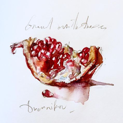 Watercolor Cookbook, Konstantin Dvornikov, Pomegranate Watercolor, Sketch Note, Watercolor Blog, Draw Illustration, Watercolor Fruit, Watercolor Journal, Watercolor Projects