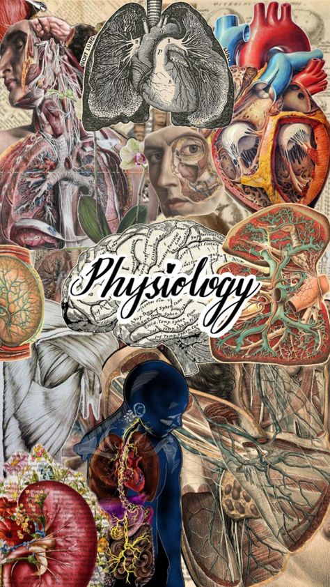 Goodnotes Cover Medicine, Physiology Wallpaper, Physiology Aesthetic, Subject Cover Pages, Study Medicine Aesthetic, Notes Cover Page, Vintage Medical Art, Physiology Notes, Psychology Aesthetic