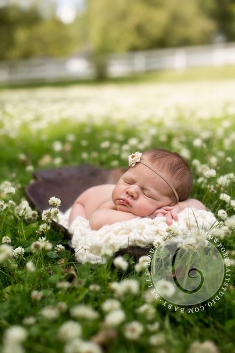 Newborn Portrait - Séance photo Nouveau-né Outdoor Baby Photography, Outdoor Newborn Photography, Photo Session Ideas, Summer Newborn, Foto Newborn, Family Photos With Baby, Baby Fotografie, Outdoor Baby, Baby Poses