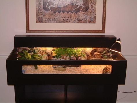 tort table made out of dresser Tartaruga Habitat, Tortoise Home, Tortoise Cage, Turtle Enclosure, Russian Tortoise Diet, Tortoise Table, Tortoise House, Tortoise Enclosure, Russian Tortoise