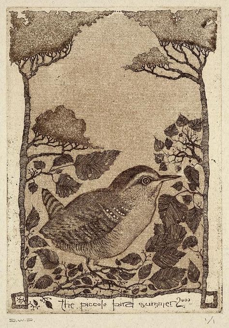 Abigail Woods Anderson（American） The Piccolo Bird　   2002 Intaglio print: hard and soft ground etching, aquatint Intaglio Print, Etching Aquatint, Printmaking Techniques, Drypoint Etching, Etching Prints, Bird Quilt, Printmaking Art, Relief Print, Wood Engraving