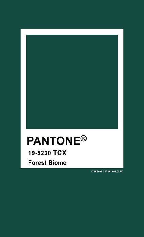 Pantone Color : Pantone Forest Biome Color I Take You | Wedding Readings | Wedding Ideas | Wedding Dresses | Wedding Theme Forest Green Pantone, Wedding Colour Combinations, Colour Theme Wedding, Wedding Colour Theme, Forest Biome, Pantone Green, Nude Color Palette, Deep Winter Colors, Pantone Palette