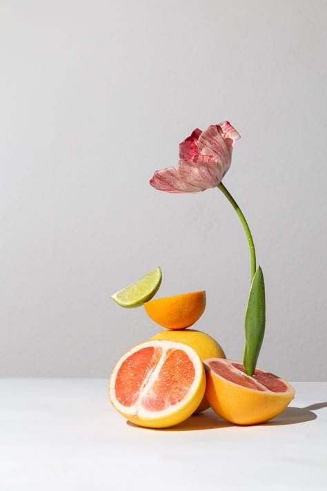 Fruit Art Photography, Surreal Food, Aesthetic Still Life Photography, Oranges Still Life, Still Life Photography Ideas, Aesthetic Still Life, Orange Photography, Sogetsu Ikebana, Fruits And Flowers