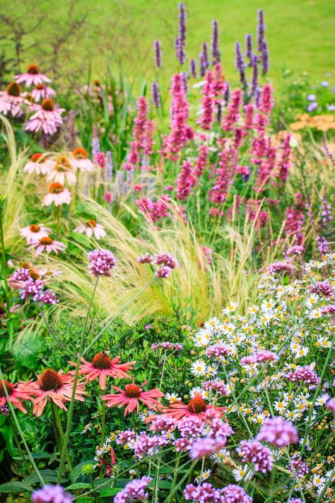 Ornamental garden plan with mixed borders Patio Garden Bed, Hydrangea Aesthetic, Spring Bulbs Garden, Hillside Pool, Greens Garden, Cottage Garden Borders, Garden River, Pool Bed, Ornamental Garden