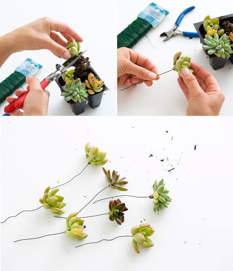 Summer Beauty: How to Make a Succulent Flower Crown - Brit + Co Bouquet Succulent, Farmgirl Flowers, Diy Fleur, Diy Flower Crown, Cactus Party, Fleurs Diy, Succulent Bouquet, Head Wreath, Succulent Wedding