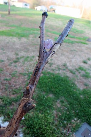 Dark Staff Magic, Wizard Staff Diy, Magic Staff Ideas, Fairy Staff, Druid Staff, Staff Diy, Bibbity Bobbity Boo, Witch Stick, Staff Design