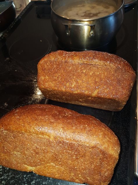 Whole Grain Breads, Whole Wheat Yeast Bread, 100% Whole Grain Bread Recipe, Hard Red Wheat Bread Recipe, Whole Grain Bread Recipe, Multigrain Bread Recipe, 100 Whole Wheat Bread, Stand Mixer Recipes, Multi Grain Bread