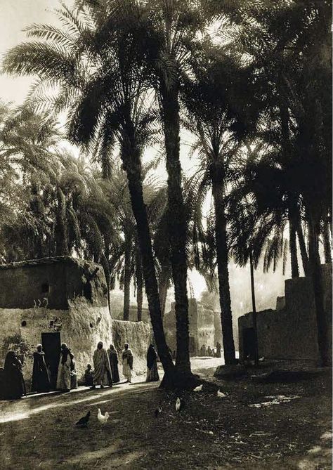 Deir Mouas village in Upper Egypt 1929 Egyptian Village, Egyptian Streets, Desert Cities, Egypt Vintage, Upper Egypt, Arabian Art, Village Shop, Old Egypt, Arab Culture