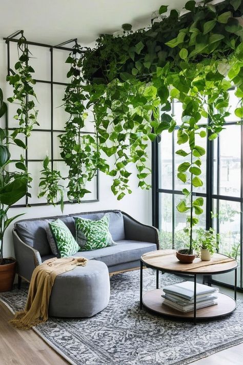 10 Best Climbing Plants Indoor Modern Apartment With Plants, Corner Plant Wall, Plant Climbing Wall Indoor, Office Plants Ideas Interior Design, Plant Wall Indoor, Climbing Plants Indoor, Best Climbing Plants, Indoor Climbing Plants, Living Wall Indoor