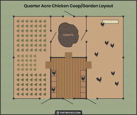 Chicken Coop By Garden, Garden Chicken Coop Layout, Sunflower Chicken Coop, Chicken Coop Veggie Garden, Chickens Small Backyard, Chicken Coop Attached To House, Garden Layout With Chicken Coop, Vegetable Garden And Chicken Coop, Homestead Animal Layout