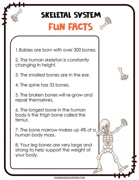 Skeleton Worksheet For Grade 3, Skeletal System Worksheet Free Printable, Skeletal System Kindergarten, Skeletal System Project Ideas, Skeletal System Anatomy Notes, Skeletal System Printable, Skeletal System Project, Skeletal System Activities, Skeletal System Anatomy