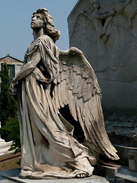 Female Statue Aesthetic, Cemetery Statues, Classic Sculpture, Aspects Of Life, Greek Statues, Angel Statue, Rennaissance Art, Angel Sculpture, Cemetery Art