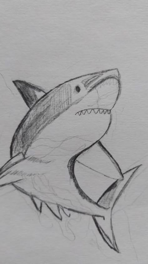 Sketches Sea Creatures, Cute Aquatic Animals Drawings, Aesthetic Shark Drawing, Cute Shark Sketch, Shark Sketch Easy, Marine Animals Sketch, Drawing Ideas Ocean Animals, Aquatic Life Drawing, Aquatic Sketches