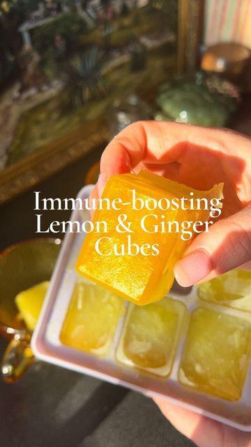 Camille Aubert | private Chef on Instagram: "These immunity boosting cubes are perfect to prepare and have on hand for a healthy morning boost. 🌞🍋✨ Lemon juice provides powerful digestive enzymes while ginger stimulates digestion. Consuming both on an empty stomach with warm water helps detoxify the body by eliminating all the toxins from the body. Plus its delicious and warming! If you find fresh turmeric then use that instead of ground turmeric. I do either way but fresh is best! Ingredients (makes 12 large cubes): - Juice of 4 lemons - 480 ml water - 1 tbsp fresh ginger, grated  - ½ tsp ground cinnamon - 1 tsp ground turmeric (or fresh) - 1.5 tbsp good quality honey  ✨ Method: Blend, pour in ice cubes and freeze! To serve, add one cube in a mug and pour over hot water. Enjoy. #immu Immune Boosting Ice Cubes, Ginger Cubes, Fresh Turmeric, Flatter Stomach, Home Remedy For Cough, Cold Sores Remedies, Ginger Turmeric, Ground Turmeric, Best Detox