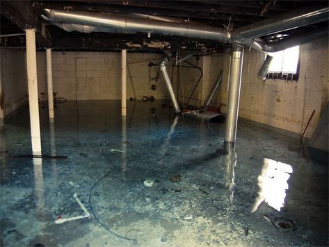 NORTHEAST WATER REMEDIATION INC. NEED QUICK HELP? Call now or contact us with your needs. Wet Basement, Flooded Basement, Flood Damage, Bob Vila, Waterproofing Basement, Basement Stairs, Small Basements, Dirty Water, Basement Bathroom