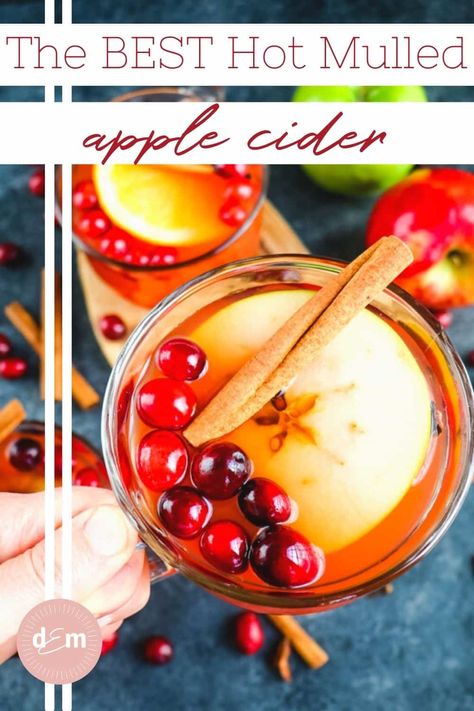 Hot Mulled Apple Cider | BEST Mulled Spiced Cider (Stove or Crock Pot) Hot Mulled Apple Cider, Blended Drink Recipes, Mulled Apple Cider, Cider Tasting, Apple Drinks, Apple Recipes Easy, Mulling Spices, Homemade Cocktails, Mulled Cider