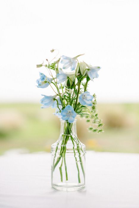 Simple Blue Centerpieces, April Wedding Centerpieces, Bud Vases Wedding Centerpiece Blue, Blue Delphinium Centerpiece, Delphinium Centerpiece, Beachy Flowers, Nautical Vase, Blue Flower Centerpieces, Tiger Lily Wedding