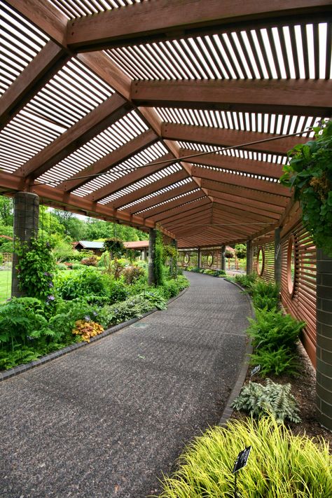 Missouri Botanical Garden Timber Architecture, Missouri Botanical Garden, Shade Structure, Parking Design, Botanical Garden, Backyard Landscaping Designs, Outdoor Design, Garden Paths, Garden Room