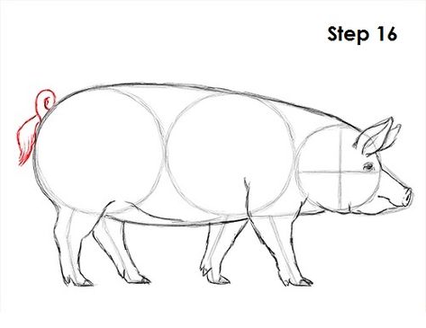 Pig Drawing 16 Pig Anatomy Drawing, Pig Drawing Reference, Pig Sketch Easy, Pig Drawing Realistic, Pig Art Drawing, Pig Sketch, Pig Artwork, Animal Tutorial, Pig Breeds