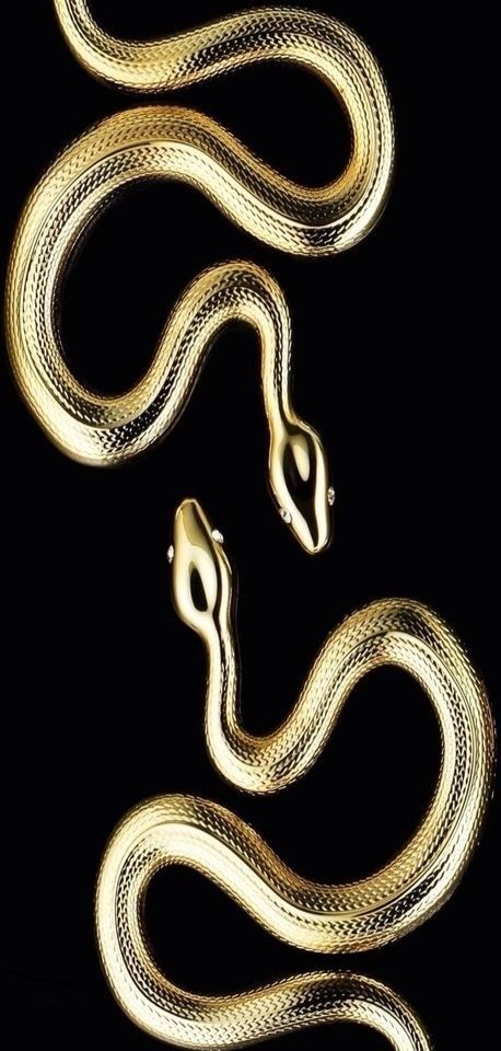 Shouldn't you be on your belly, snake! Gold Snake Aesthetic, Snake Aesthetic, Gold And Black Wallpaper, Black And Gold Aesthetic, Snake Wallpaper, Golden Snake, Snake Art, Gold Aesthetic, Gold Background