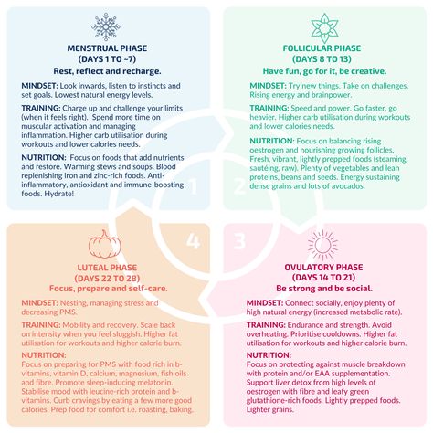 Nutrition Menstrual Cycle, Cycle Syncing Timeline, Female Menstrual Cycle, Menstrual Cycle Energy, 23 Day Menstrual Cycle, 25 Day Menstrual Cycle, 4 Stages Of Menstrual Cycle, Training With Your Cycle, Phases Of Period