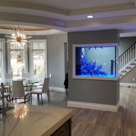 Aquariums - Aqua Creations Aquarium Mural, Aqua Creations, Fish Tank Wall, Aquarium Architecture, Custom Aquarium, Wall Aquarium, Fish Tank Design, Home Aquarium, Open Concept Living Room