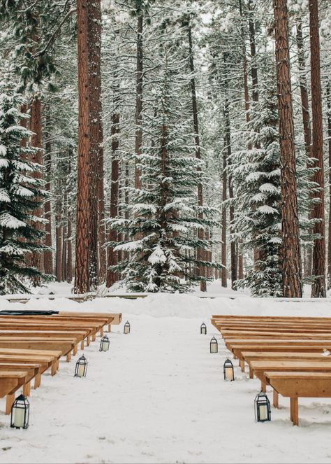 Nature inspired winter wedding surrounded by towering ponderosa pine trees. Whimsical wedding, snowy wedding. Central Oregon wedding destination. Meg Cole Photography Pine Winter Wedding, Goblin Wedding, Early Winter Wedding, Eloping Wedding, California Winter Wedding, Whimsical Winter Wedding, Pine Tree Wedding, Intimate Winter Wedding, Ski Resort Wedding