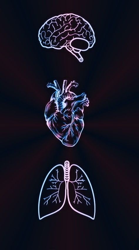 Human Heart Drawing, Anatomical Heart Art, Medical Wallpaper, Beautiful Wallpapers For Iphone, Heart Drawing, Dark Phone Wallpapers, Medical Art, Human Heart, Aesthetic Pastel Wallpaper