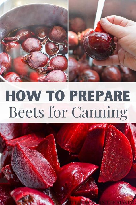 Canning Red Beets Recipes For, Canning Red Beets Recipe, Sweet Beets Canning, Pressure Canning Beets, How To Can Beets In Water Bath, Canning Beets Plain Water Bath, Canning Beets Pickling, Can Beets Recipe, Canning Beets Recipes Water Bath