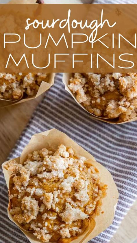 Make these easy sourdough pumpkin muffins with your sourdough discard. They are easy to make, tender, and taste amazing! Pumpkin Muffins With Sourdough Discard, Sourdough Starter Pumpkin Muffins, Sourdough Pumpkin Spice Muffins, Sourdough Pumpkin Bread Farmhouse On Boone, Pumpkin Discard Muffins, Sour Dough Discard Pumpkin Recipes, Pumpkin Scones Sourdough, Pumpkin Muffins Sourdough, Sourdough Pumpkin Muffins Recipe