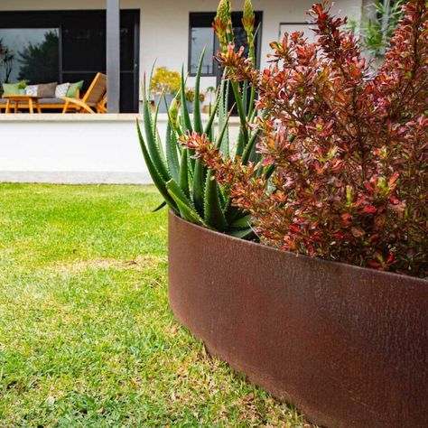 Steel Garden Edging In The Style Of Corten | Straightcurve AU Corten Steel Garden, Metal Garden Edging, Waterwise Landscaping, Steel Garden Edging, Garden Edge, Building Raised Garden Beds, Building A Raised Garden, Weathering Steel, Modern Properties