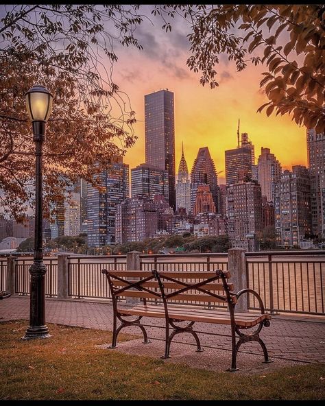 New York Sunset, Photo New York, Fall City, New York City Aesthetic, Thanksgiving Parade, Nyc Fall, Roosevelt Island, New York City Photos, Autumn In New York