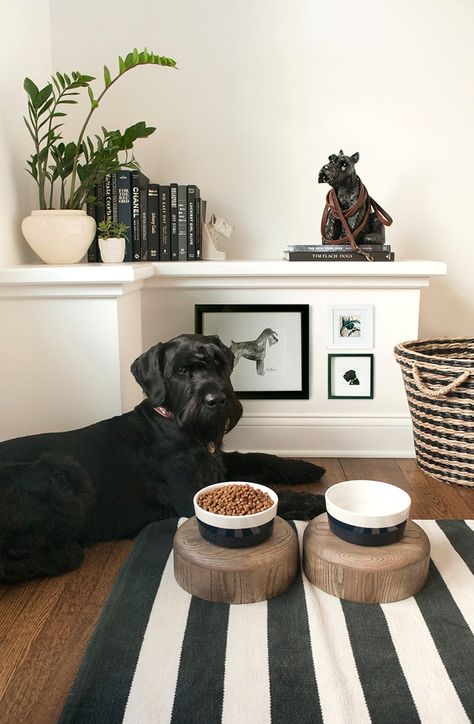 For the Dog Lovers - Room For Tuesday Boho Pet Decor, Dog In Living Room, Pet Area In Apartment, Pet Room Aesthetic, Puppy Home Ideas, Dog Corner Ideas Living Room, Cozy Dog Corner, Dog Entryway Ideas, Dog Room Aesthetic