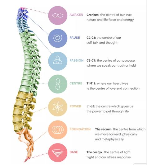 Spinal Flow Technique Come To Me, Career Path, Career