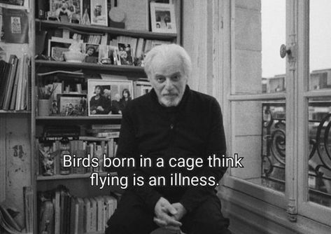 Birds born in a cage think flying is an illness. Bird In A Cage, Cinema Quotes, Movie Lines, Film Quotes, A Quote, Quote Aesthetic, Pretty Words, Movie Quotes, Pretty Quotes