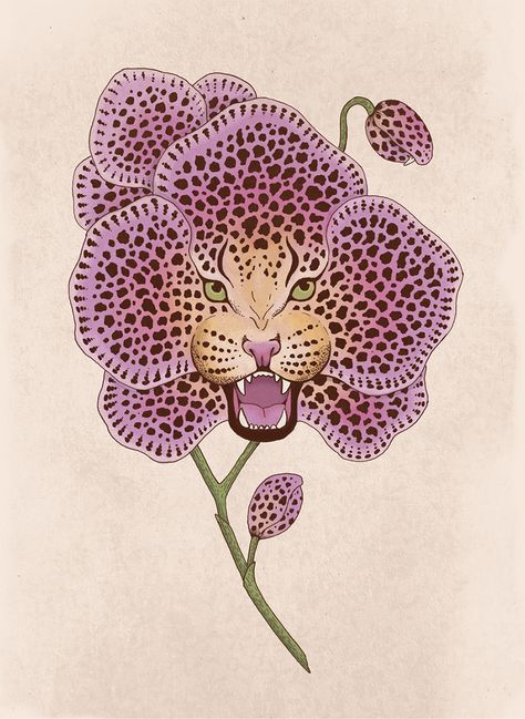 Wild Orchid on Behance Orchid Aesthetic, Orchid Illustration, Orchid Art, American Traditional Tattoo Ideas, Traditional Tattoo Ideas, Orchid Print, Pretty Aesthetic, Aesthetic Picture, Digital Coloring