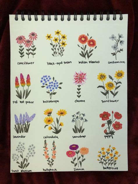 Easy Wildflower Drawing Step By Step, Paint Pen Flower Art, Acrylic Paint Pen Flowers, Flowers Drawing Markers, Flowers Marker Drawing, Paint Marker Flowers, Brush Pen Art Drawing Easy Flower, Paint Pen Flowers, Flower Marker Art