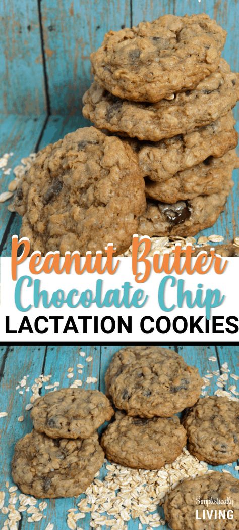 Chocolate Chip Lactation Cookies, Breastfeeding Cookies, Lactation Cookies Recipe, Flax Meal, Breastfeeding Snacks, Breastfeeding Foods, Lactation Recipes, Lactation Cookies, Homemade Peanut Butter