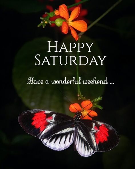 Saturday Morning Greetings, Happy Saturday Pictures, Happy Good Morning, Good Morning Saturday Images, Happy Saturday Quotes, Saturday Pictures, Happy Saturday Morning, Happy Saturday Images, Good Night Friends Images