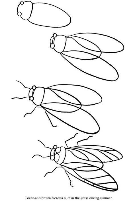 Learn to draw one! | 26 Ways To Embrace The Oncoming Cicada Invasion Insect Art, Drawing Lessons, Teaching Art, Step By Step Drawing, Drawing Techniques, Pencil Drawing, Learn To Draw, Drawing For Kids, Art Techniques