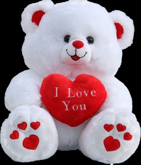 Cute Teddy Bear Pics For Dp, Beautiful Teddy Bear, Cute Wallpapers Teddy Bear, Teddy Bear Dp, Happy Rose Day My Love, Teddy Bear Pics, Happy Teddy Day Images, Cute Teddy Bear Pics, Picture Cat