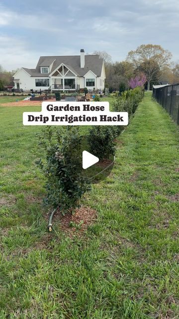 Julie | Farmhouse On Waters on Instagram: "I’m loving this hack! It will definitely save us so much time watering these new shrubs in our backyard. We didn’t want to water by hand or use a soaker hose or a sprinkler and water all the grass around the shrubs. That’s why we decided to use what we had which was an old garden hose and make our own drip irrigation. We used 2 gallon an hour emitters on each shrub and a water pressure reducer regulator so the drip emitters would stay in place. We also installed a shut off valve for the end of the hose. I’ve linked all the items in my Amazon storefront which is linked in my bio. Let me know if you have any questions. 

#gardenhack #gardenhacks #gardeninghacks #irrigation #watering #backyardlandscape #landscaping #dripirrigation #diybackyard #reduc Garden Watering Hacks, Garden Sprinkler Ideas, Garden Irrigation Ideas Diy, Watering Garden Ideas, Garden Irrigation Ideas, Drip Irrigation System Design, Soaker Hose Irrigation, Veggie Storage, Water Sprinkler System