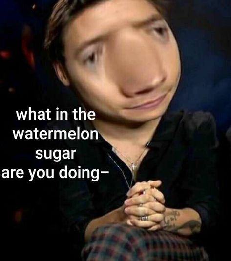 Funny Harry Styles, Harry Styles Memes, Harry Styles Funny, Watermelon Sugar, Reaction Pic, Mood Pics, Harry Styles, Watermelon, Memes