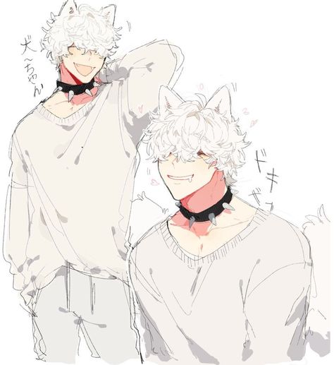 Pet Anime, Wolf Hybrid, Hybrid Art, Fluffy Dog, Anime Male, Roleplay Characters, Boy Drawing, Boy Character, Guy Drawing