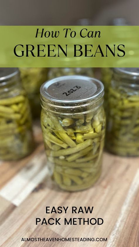 Learn how to can beans at home using this easy yet effective raw pack method. This process only takes about 30 minutes of hands on time making it a perfect option for preserving your excess green beans from yolur garden! Preserve Green Beans, Green Beans From The Garden, Preserving Green Beans, Canning Green Beans, Home Canning Recipes, Can Green Beans, Canned Beans, Home Canning, Green Bean Recipes