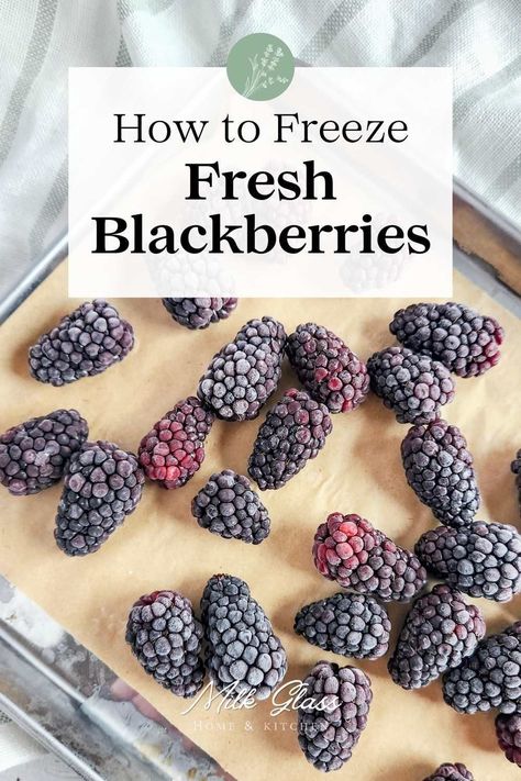 Wondering how to freeze blackberries for later use? We've got you covered with our expert advice! Discover the best way to freeze fresh blackberries so you can savor their flavor long after the season ends. Say goodbye to wasted berries and hello to year-round enjoyment! Freezing Blackberries, Freeze Blackberries, Blackberry Bushes, Freezing Strawberries, How To Freeze Blackberries, Freezing Fruit, Healthy Crisps, Freezer Jam Recipes, Dried Berries