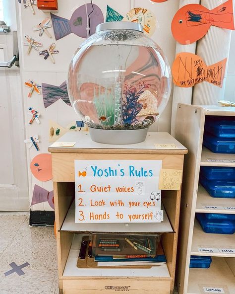 Kindergarten Science Classroom Decor, Classroom Aquarium Ideas, Fish Tank In Classroom, Classroom Fish Tank, Class Organization Ideas, Class Pet Ideas, 1st Grade Classroom Set Up, Beachy Classroom, Class Pets