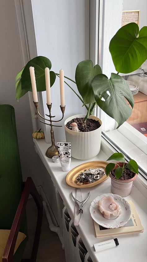 Windowsill Decor Bedroom, Windowsill Aesthetic, Greenhouse Aesthetic, Apartment Color Schemes, Window Sill Decor, Uni Room, Plants Green, Aesthetic Nature, Redecorate Bedroom